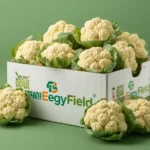 Cauliflower (Copy)