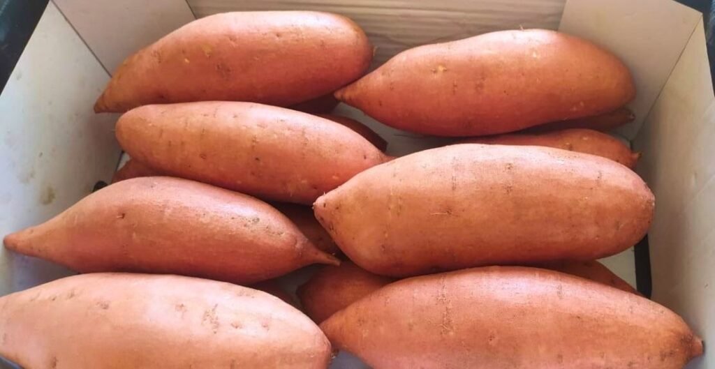 Fresh Sweet Potato