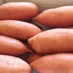 Fresh Sweet Potato
