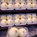 Premium Egyptian Onions (Red, Golden & White) – Export Quality