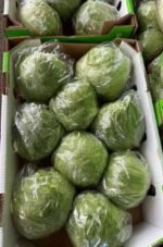 Fresh Iceberg Lettuce - Image 2
