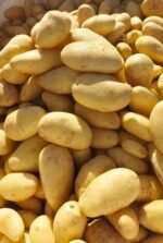Fresh Potato - Image 2