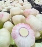 Fresh Red Garlic - Image 3