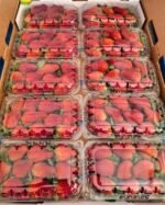 Fresh Strawberry - Image 2