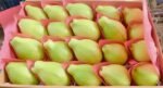 Fresh Guava - Image 3