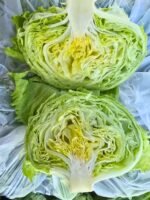 Fresh Iceberg Lettuce - Image 3