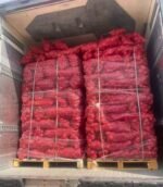 Fresh Red Onion - Image 2