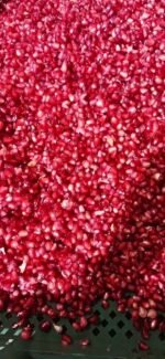 Frozen Egyptian Pomegranate - Image 2