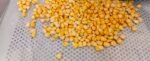 Frozen Sweet Corn Kernels - Image 3