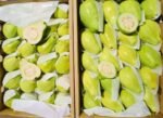 Fresh Guava - Image 2