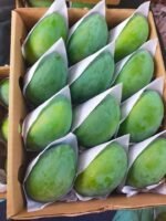 Fresh Mango - Image 2