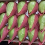 Fresh Guava - Image 4