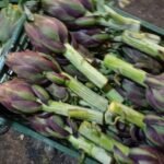 Fresh Artichoke - Image 5