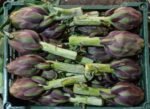 Fresh Artichoke - Image 3