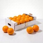 Fresh Navel Orange