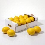 Fresh Lemon