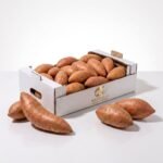 Fresh Sweet Potato