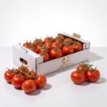 Fresh Tomato