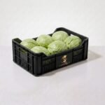 Fresh Iceberg Lettuce