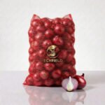 Fresh Red Onion