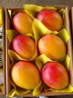 Fresh Mango - Image 3