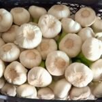 Fresh White Garlic - Image 3