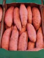 Fresh Sweet Potato - Image 5