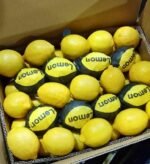 Fresh Lemon - Image 5