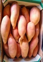 Fresh Sweet Potato - Image 3