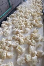 Frozen Cauliflower - Image 3