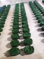 Frozen Spinach - Image 3
