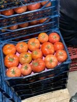 ⁦Fresh Tomato⁩ - الصورة ⁦2⁩