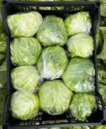 Fresh Iceberg Lettuce - Image 4