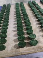 Frozen Spinach - Image 5