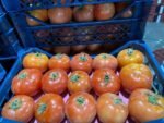 ⁦Fresh Tomato⁩ - الصورة ⁦5⁩