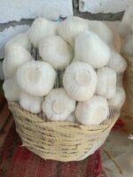 Fresh White Garlic - Image 5