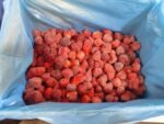 Frozen Egyptian Strawberry - Image 4