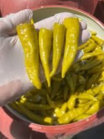 Macedonia Pickles – Image 4