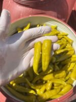 Macedonia Pickles – Image 2